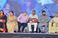 Telugu Mahasabhalu 2017 Photos